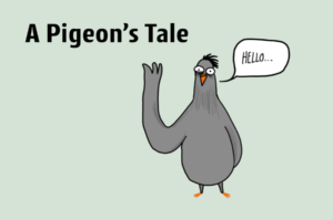 sol Projekt A Pigeon's Tale