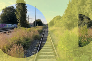 Referenzen Thumbnail BiGEye